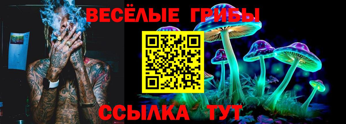 Галлюциногенные грибы ЛСД  Вход с VPN  как найти   Галлюциногенные грибы ЛСД  Можайск 